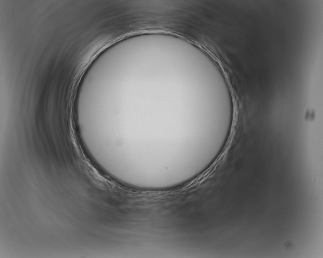 X0000115270145200912111211