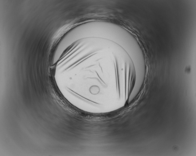 X0000115270149200912111211