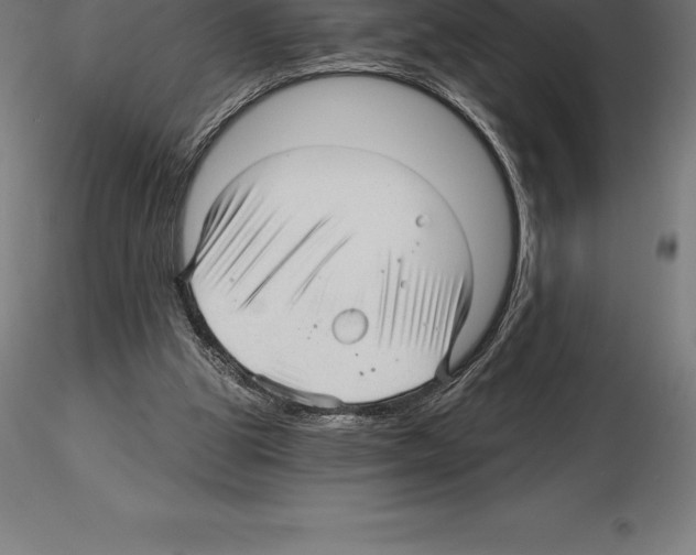 X0000115270153200912111211