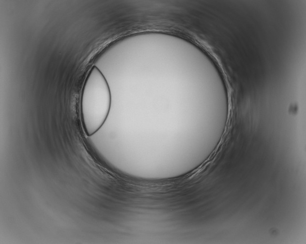 X0000115270154200912111211