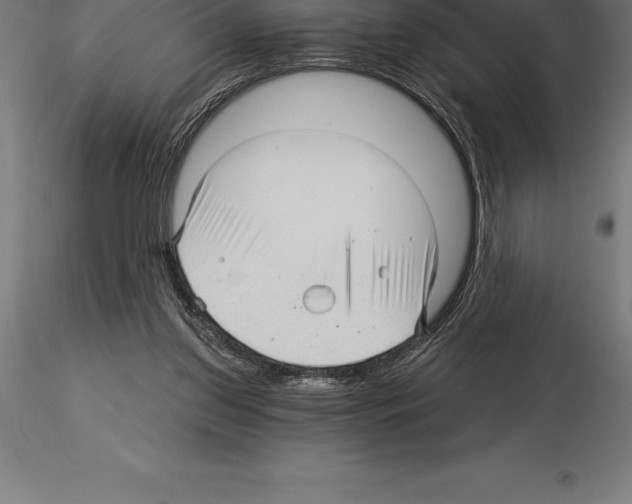 X0000115270157200912111211