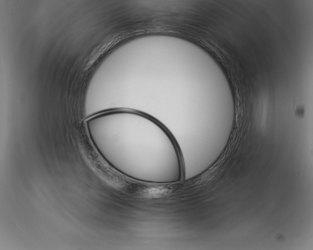 X0000115270158200912111211