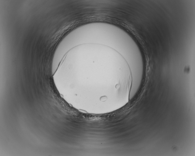 X0000115270161200912111211