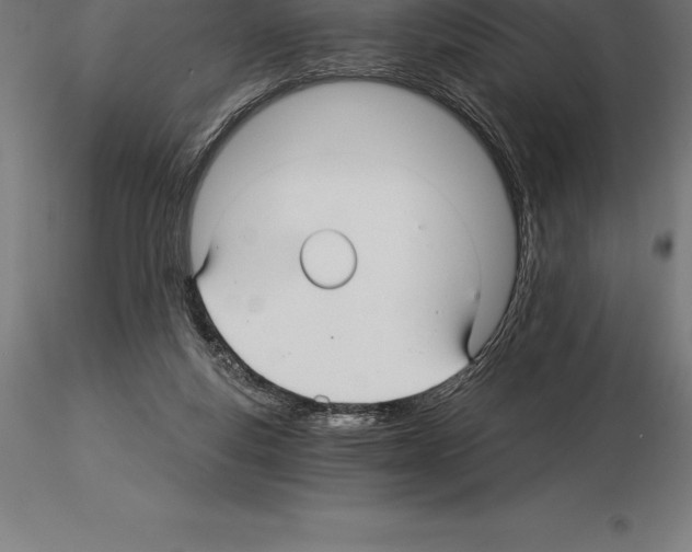 X0000115270163200912111211