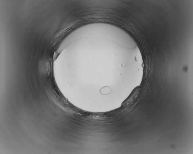 X0000115270165200912111211