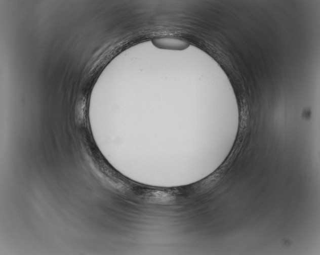 X0000115270166200912111211