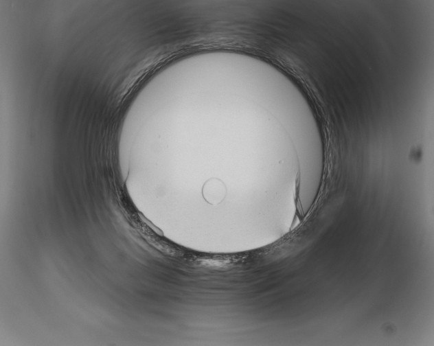 X0000115270167200912111211