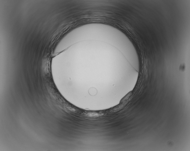 X0000115270169200912111211