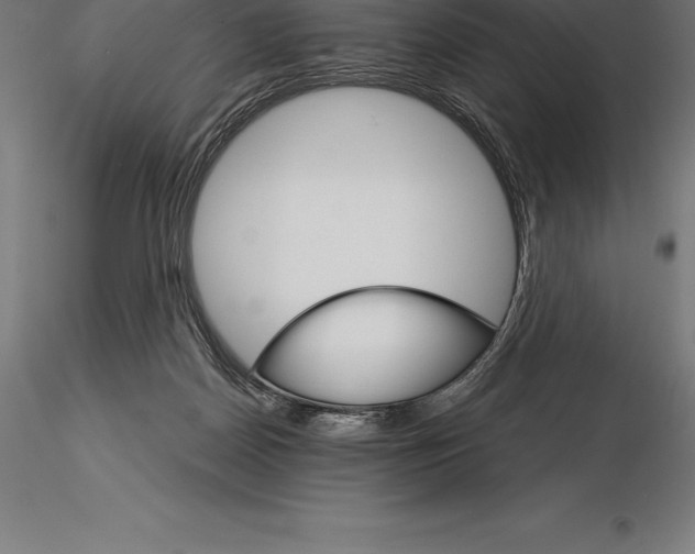 X0000115270170200912111211