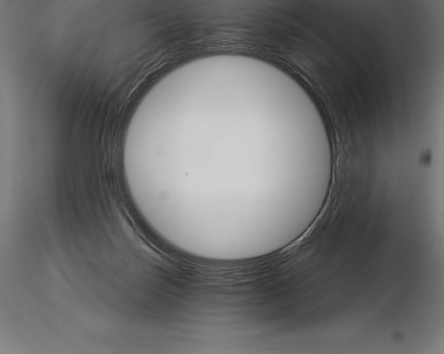 X0000115270171200912111211