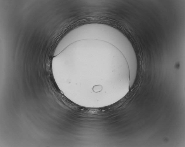 X0000115270173200912111211