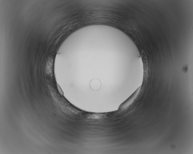 X0000115270175200912111211