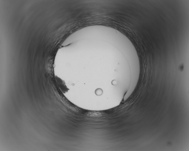 X0000115270181200912111211