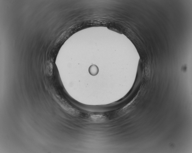 X0000115270183200912111211