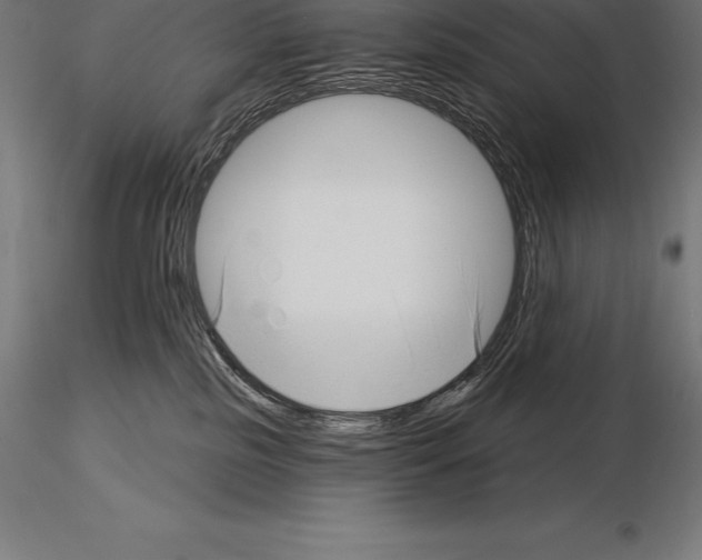 X0000115270185200912111211