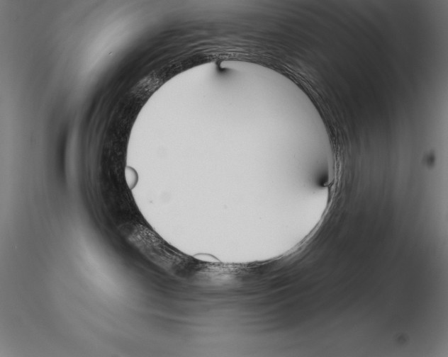 X0000115270190200912111211