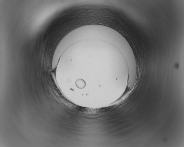 X0000115270191200912111211