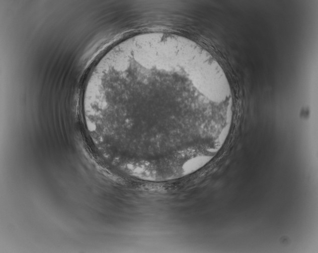 X0000115270194200912111211