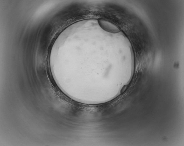 X0000115270195200912111211