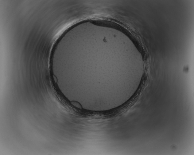 X0000115270196200912111211