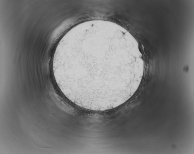 X0000115270197200912111211