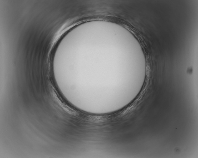 X0000115270198200912111210