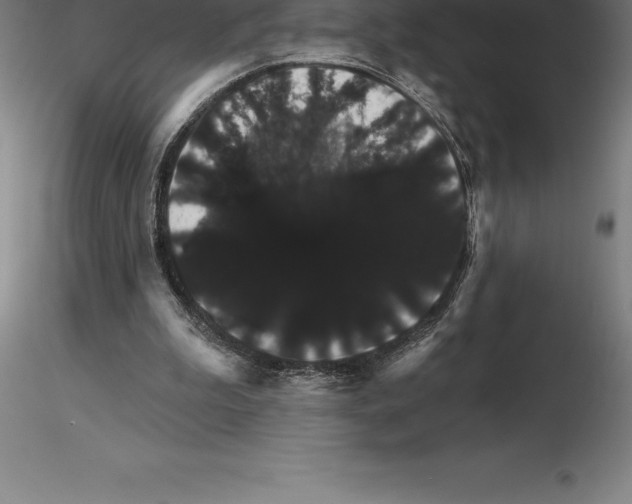 X0000115270199200912111210