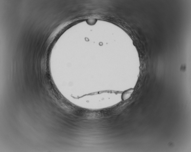 X0000115270200200912111210