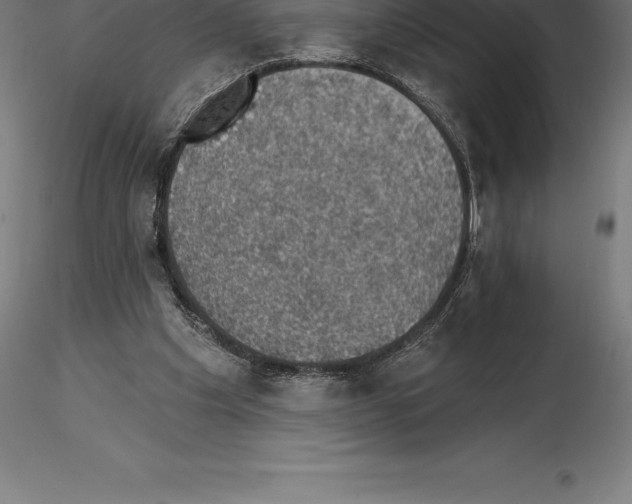 X0000115270201200912111210