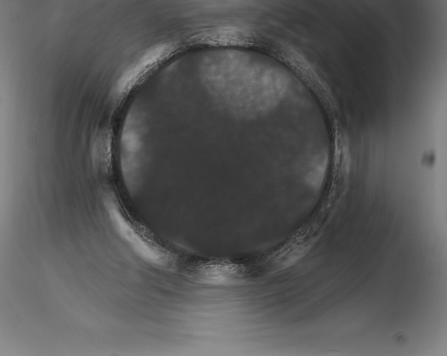 X0000115270202200912111210