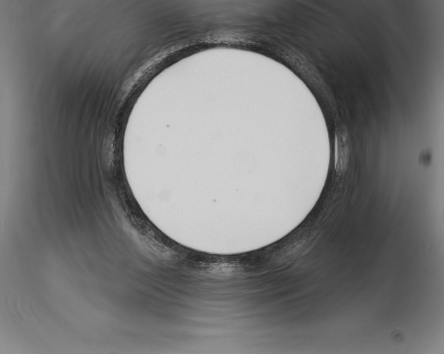 X0000115270204200912111210