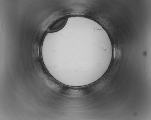 X0000115270205200912111210