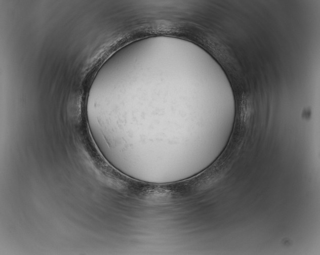 X0000115270206200912111210