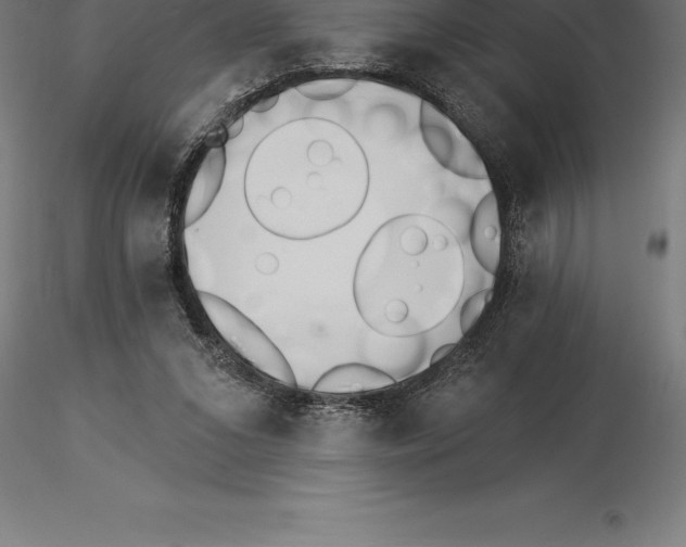 X0000115270207200912111210