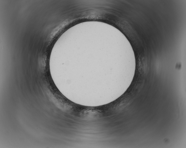 X0000115270208200912111210