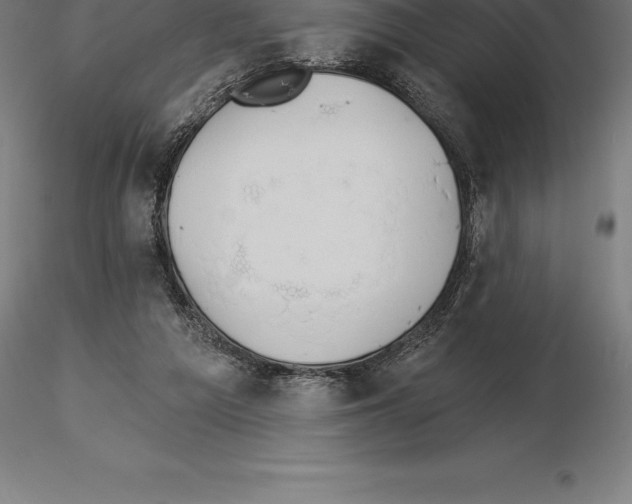 X0000115270209200912111210