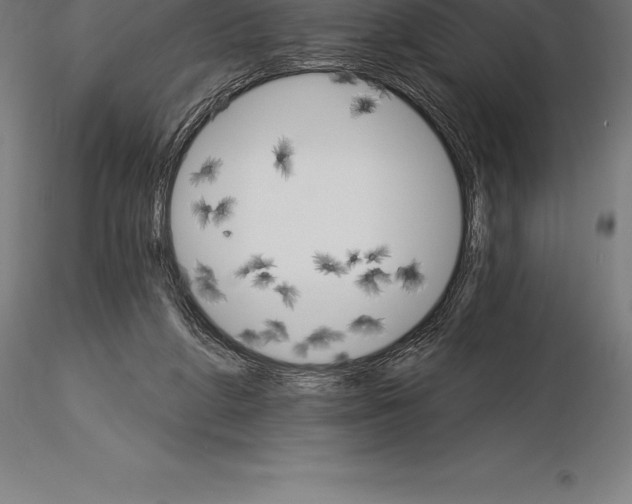 X0000115270210200912111210