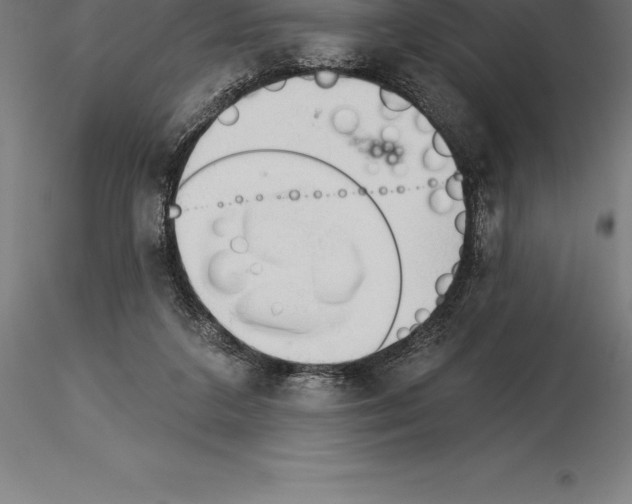 X0000115270211200912111210