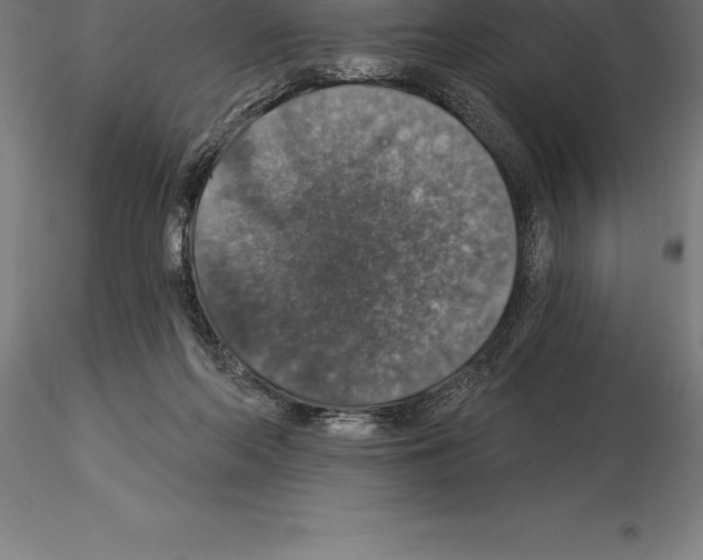 X0000115270214200912111210