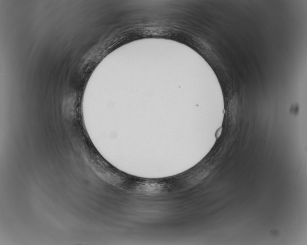 X0000115270217200912111210