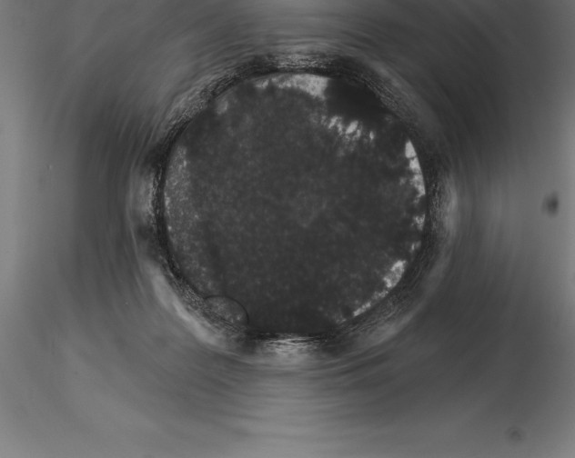 X0000115270219200912111210