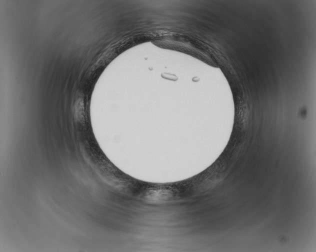 X0000115270220200912111210