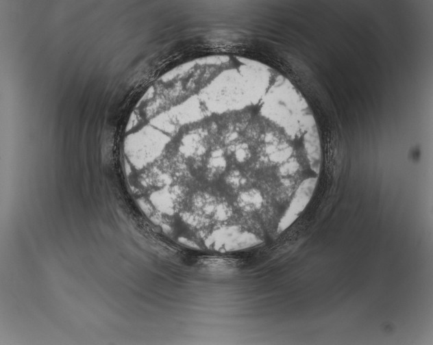 X0000115270221200912111210