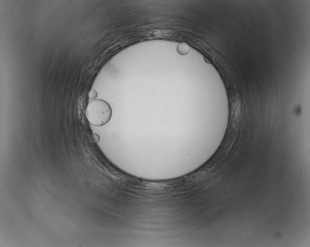 X0000115270222200912111210