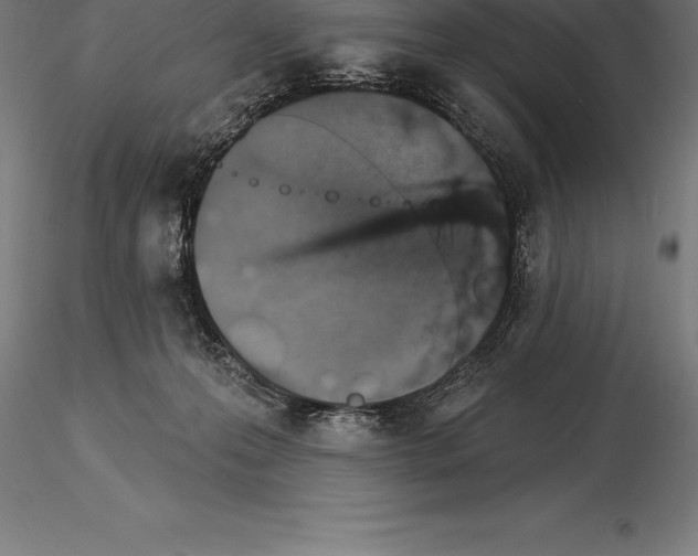 X0000115270223200912111210