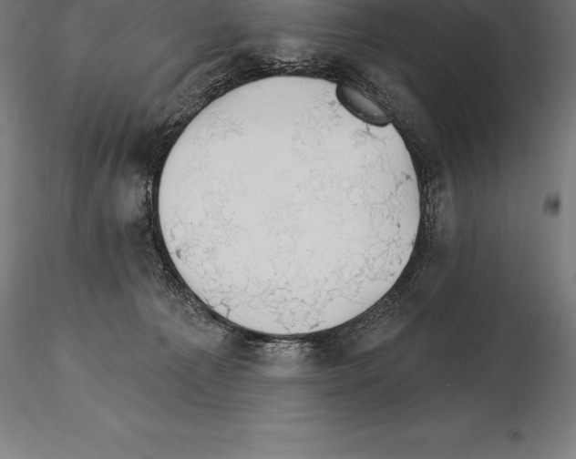 X0000115270225200912111210