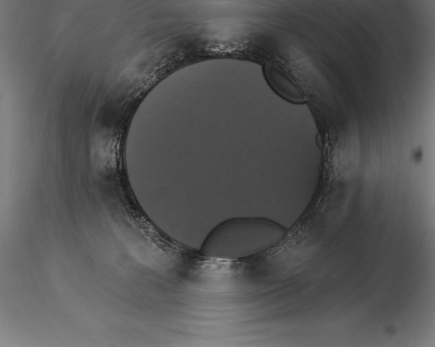 X0000115270227200912111210