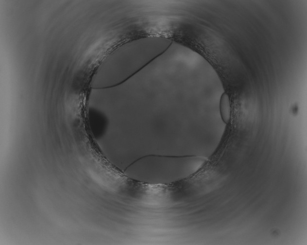 X0000115270229200912111210