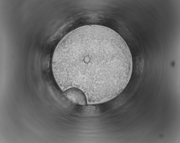 X0000115270230200912111210