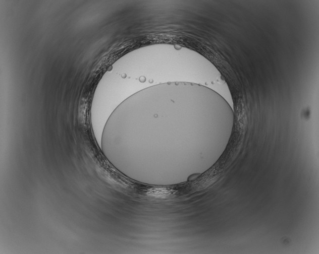 X0000115270231200912111210